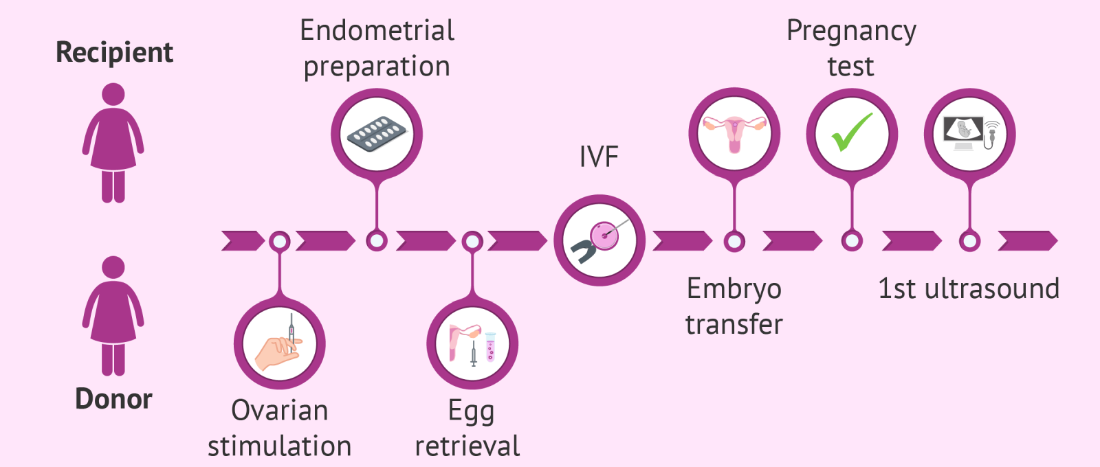 egg-donation-facility-at-dogus-fertility-clinic-cyprus